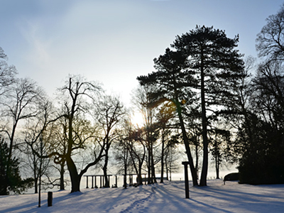 Lakeside at the Evangelische Akademie Tutzing